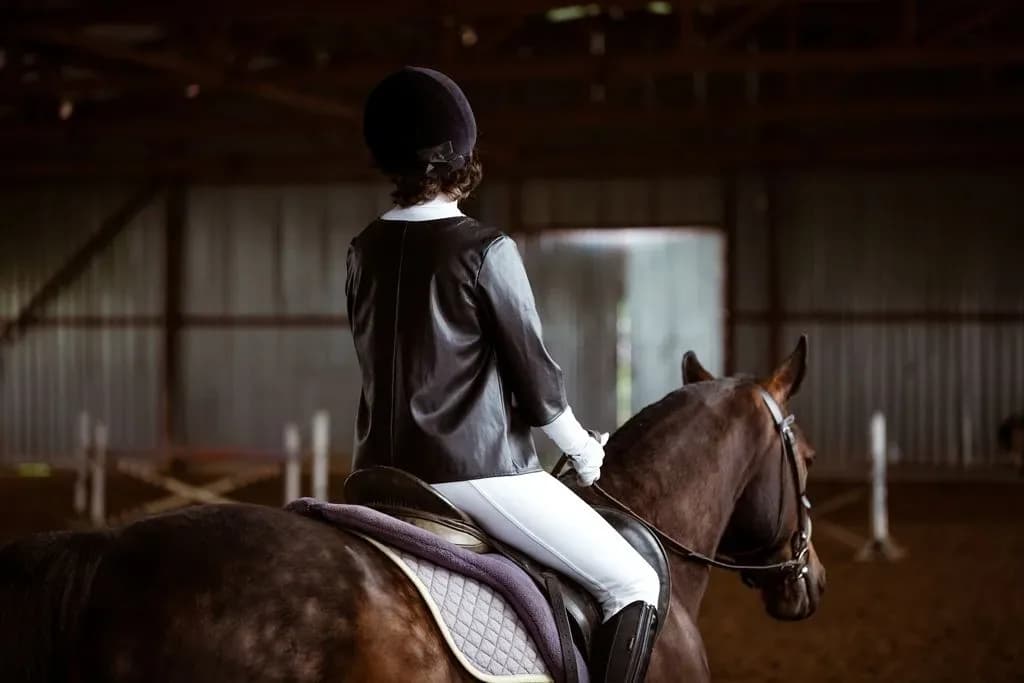 Attrezzatura di qualità per cavallo e cavaliere